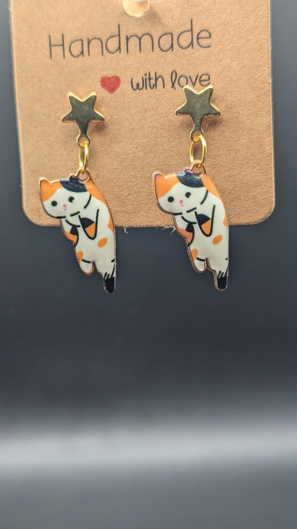 Chat Perché 🐱
