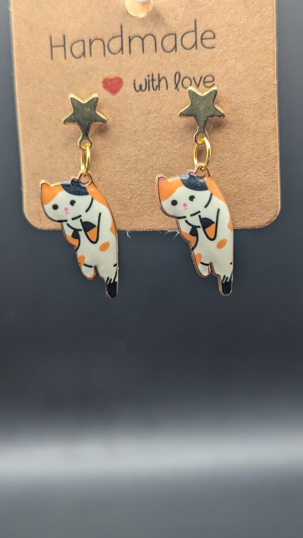 Chat Perché 🐱